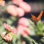 如何在云顶网上赌场中获得更高的胜率 51fewb8nkc