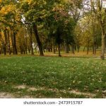 如何在亚游平台上安全高效地进行游戏体验 6ll9kt19