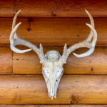 如何在天空彩票平台上提高中奖概率的技巧 76m5yk1