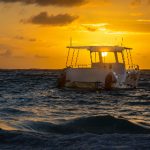 如何在威廉希尔上安全进行体育博彩和游戏投注 8fclar