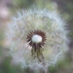 如何在半岛体育平台上获取最新体育资讯与赛事分析 9qw1czk