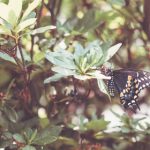 如何在博万体育官网上获取最新体育资讯与赛事动态 o1bb5395