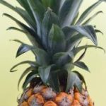 如何在宝盛娱乐中找到最受欢迎的游戏项目 o6v16