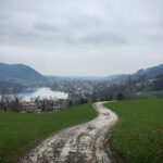 3D历史试机号与开奖号关联性深度解析 1y44bbxu