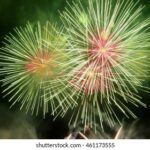 18213期体彩开奖结果最新公布:大奖花落谁家? 6pu4y