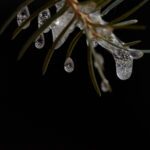 18177期开奖号码揭晓,幸运数字等你来看 78ex2cfcsl