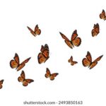 18163期开奖结果震撼揭晓,大奖花落谁家引关注 7yfdl706y