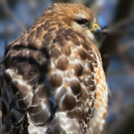 18158期足彩开奖结果揭晓,大奖花落谁家? ady5d4fse