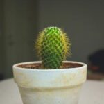 18326期体育彩票开奖结果查询与最新号码公布 f0y9ae