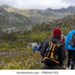 3D历史开奖走势图全方位分析与预测指南 t12f6i593