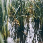 186开奖直播现场全程高清实时在线观看 yin32ikzr5